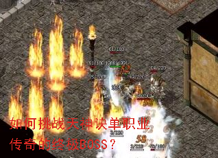 �����ս�������ְҵ������ռ�BOSS��