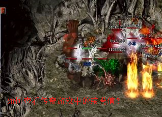 ��β鿴������Ϸ�е�����ֵ��