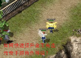 如何快速提升金币合击传奇手游角色等级? 如何快速提升金币合击传奇手游角色等级?