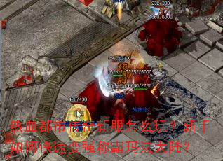 ��Ѫ���д����·���ô�棿������ο��ٱ�ǿ�ư��귨��½��