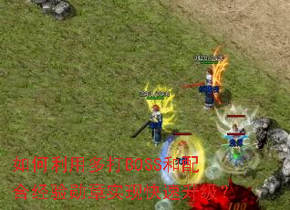 ������ö��BOSS����Ͼ���ѫ��ʵ�ֿ���������