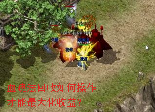 Ѫ�Ƿ�������β�������������棿