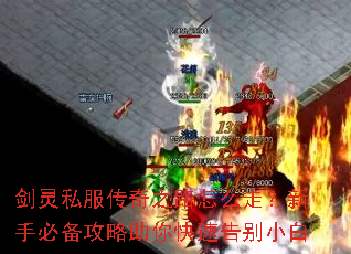 剑灵私服传奇之路怎么走?新手必备攻略助你快速告别小白 剑灵私服传奇之路怎么走?新手必备攻略助你快速告别小白