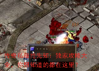 传奇私服抢先知:独家攻略大全,你想知道的都在这里? 传奇私服抢先知:独家攻略大全,你想知道的都在这里?