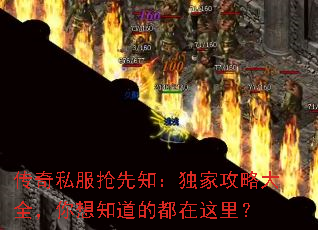 传奇私服抢先知:独家攻略大全,你想知道的都在这里? 传奇私服抢先知:独家攻略大全,你想知道的都在这里?