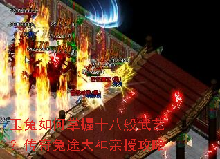 玉兔如何掌握十八般武艺?传奇兔途大神亲授攻略 玉兔如何掌握十八般武艺?传奇兔途大神亲授攻略