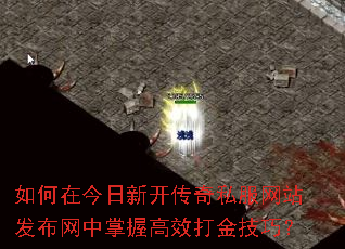 ����ڽ����¿�����˽����վ�����������ո�Ч����ɣ�