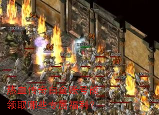��Ѫ����׽��˺�����ȡ��Щר��������