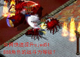 如何快速提升cjwd51888角色的战斗力等级? 如何快速提升cjwd51888角色的战斗力等级?