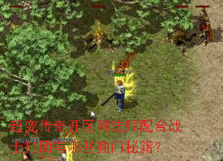 超变传奇开区网法师配合战士打团有哪些独门秘籍? 超变传奇开区网法师配合战士打团有哪些独门秘籍?