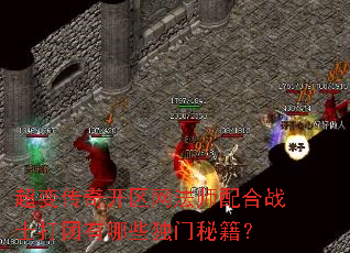 超变传奇开区网法师配合战士打团有哪些独门秘籍? 超变传奇开区网法师配合战士打团有哪些独门秘籍?