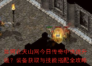 如何在天山网今日传奇中快速升级?装备获取与技能搭配全攻略 如何在天山网今日传奇中快速升级?装备获取与技能搭配全攻略
