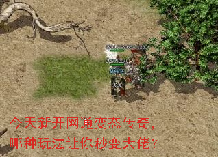 �����¿���ͨ��̬���棬�����淨���������У�