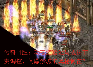 ������ʤ����̬�������ɳ�������أ��ʶ�ɳ�ǵİ��غ��ڣ�