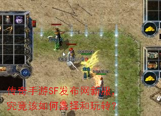��������SF�������·������������ѡ�����ת��