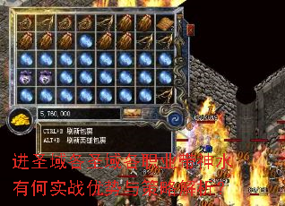 进圣域各圣域各职业带神水有何实战优势与策略解析? 进圣域各圣域各职业带神水有何实战优势与策略解析?