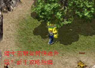 道士前期如何快速升级?新手攻略指南 道士前期如何快速升级?新手攻略指南