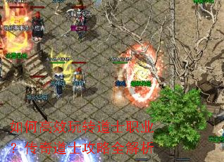 如何高效玩转道士职业?传奇道士攻略全解析 如何高效玩转道士职业?传奇道士攻略全解析