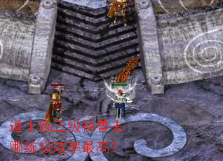 道士练三级神兽去哪练级效率最高? 道士练三级神兽去哪练级效率最高?