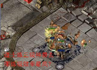 道士练三级神兽去哪练级效率最高? 道士练三级神兽去哪练级效率最高?