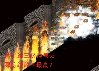 道士练三级神兽去哪练级效率最高? 道士练三级神兽去哪练级效率最高?