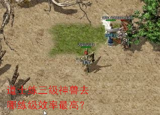 道士练三级神兽去哪练级效率最高? 道士练三级神兽去哪练级效率最高?