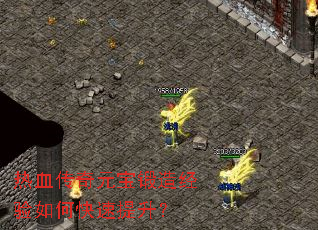 ��Ѫ����Ԫ�����쾭����ο���������
