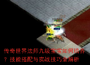 �������編ʦ�ż�����������������ܴ�����ʵս����ȫ����
