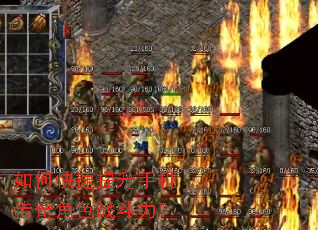 ��ο��������ֻ������ɫս������