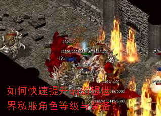 ��ο�������qq��������˽����ɫ�ȼ���װ����