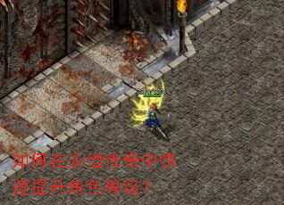 如何在永恒传奇中快速提升角色等级? 如何在永恒传奇中快速提升角色等级?
