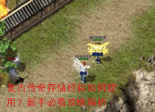 ���Ŵ���洢�������ʹ�ã����ֱؿ����Խ���