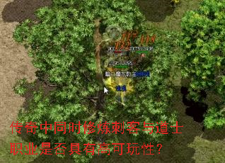 传奇中同时修炼刺客与道士职业是否具有高可玩性? 传奇中同时修炼刺客与道士职业是否具有高可玩性?