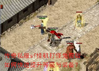 ����˽��sf�һ������Ѱ���ο��������ȼ���װ����