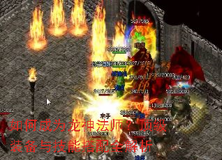 如何成为龙神法师?顶级装备与技能搭配全解析 如何成为龙神法师?顶级装备与技能搭配全解析