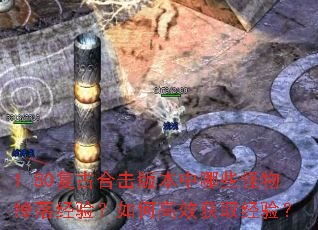 1.80复古合击版本中哪些怪物掉落经验?如何高效获取经验? 1.80复古合击版本中哪些怪物掉落经验?如何高效获取经验?