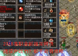 2018单职业新服如何快速提升战力?新手必看攻略 2018单职业新服如何快速提升战力?新手必看攻略