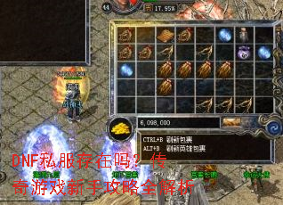 DNF私服存在吗?传奇游戏新手攻略全解析 DNF私服存在吗?传奇游戏新手攻略全解析
