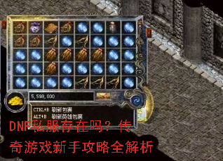 DNF私服存在吗?传奇游戏新手攻略全解析 DNF私服存在吗?传奇游戏新手攻略全解析