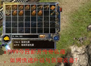 sf999�����¿�����˽������ο����������ȡװ����