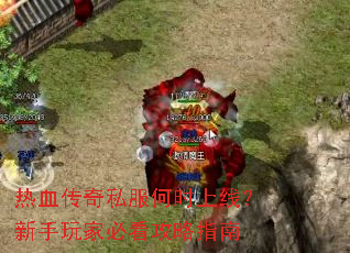 ��Ѫ����˽����ʱ���ߣ�������ұؿ�����ָ��