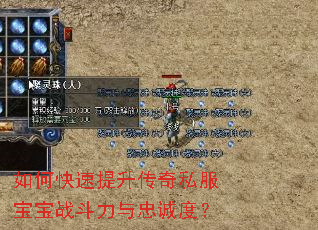 如何快速提升传奇私服宝宝战斗力与忠诚度? 如何快速提升传奇私服宝宝战斗力与忠诚度?