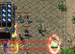 如何快速提升传奇私服宝宝战斗力与忠诚度? 如何快速提升传奇私服宝宝战斗力与忠诚度?