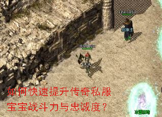 如何快速提升传奇私服宝宝战斗力与忠诚度? 如何快速提升传奇私服宝宝战斗力与忠诚度?