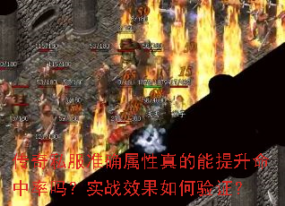 ����˽��׼ȷ���������������������ʵսЧ�������֤��