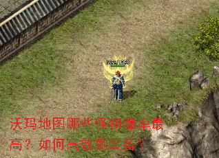 �����ͼ��Щ���ﱬ����ߣ���θ�Чˢװ����