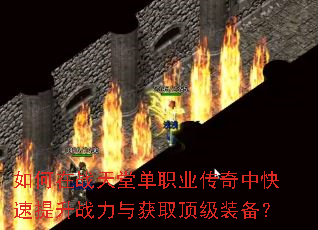 �����ս���õ�ְҵ�����п�������ս�����ȡ����װ����
