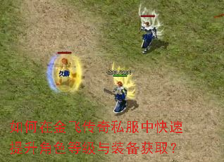 如何在金飞传奇私服中快速提升角色等级与装备获取? 如何在金飞传奇私服中快速提升角色等级与装备获取?