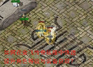 如何在金飞传奇私服中快速提升角色等级与装备获取? 如何在金飞传奇私服中快速提升角色等级与装备获取?
