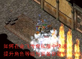 如何在金飞传奇私服中快速提升角色等级与装备获取? 如何在金飞传奇私服中快速提升角色等级与装备获取?